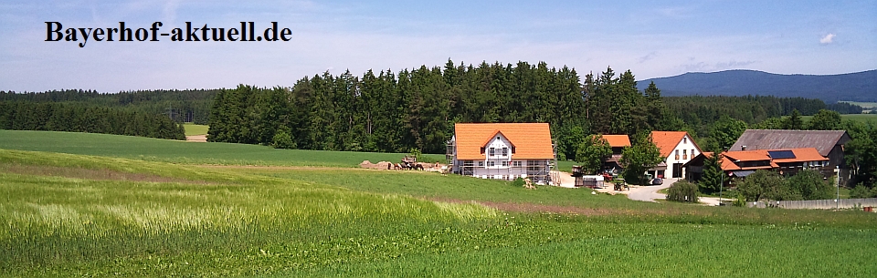 Bayerhof-Aktuell