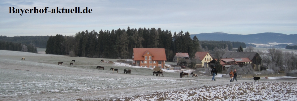 Bayerhof-Aktuell